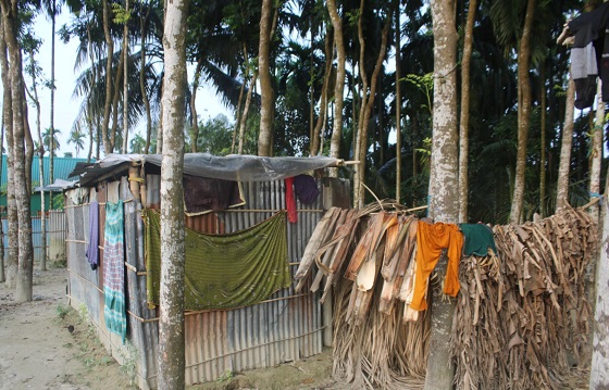 image-here